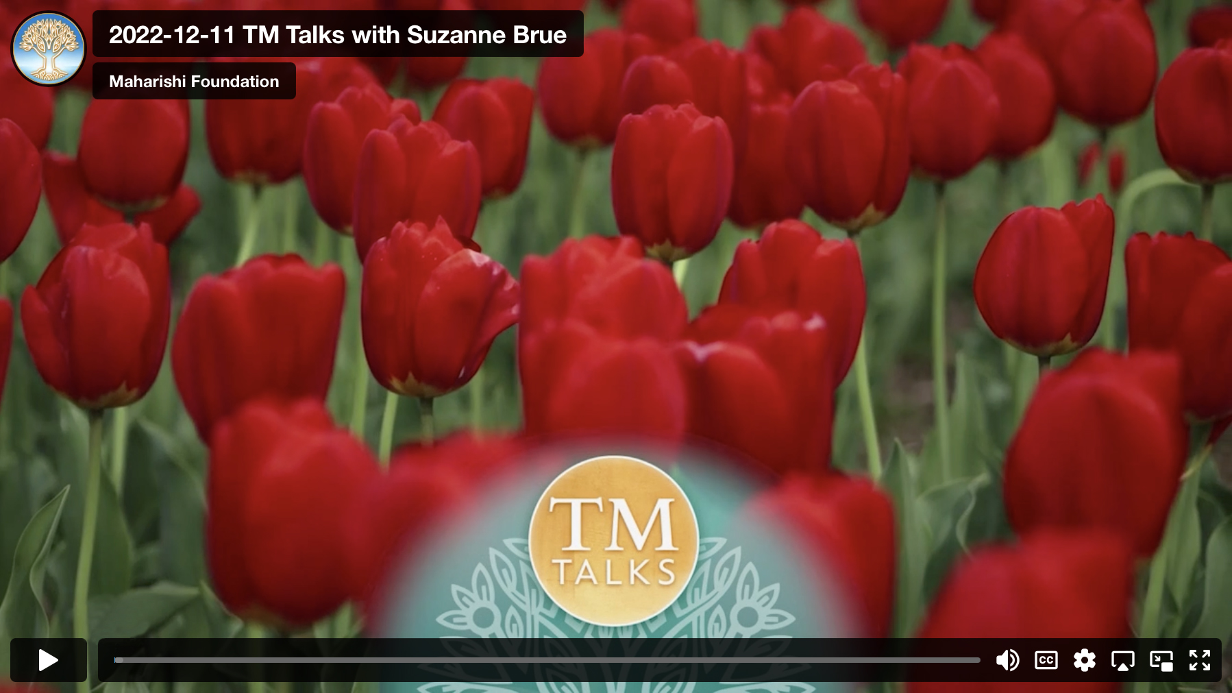 Creating a Sustainable Fitness Program: Connecting Your Exercise to Your True Nature. A conversation with Suzanne Brue